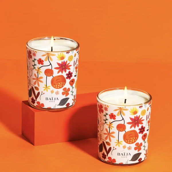 Baija Bougie Lost Paradise